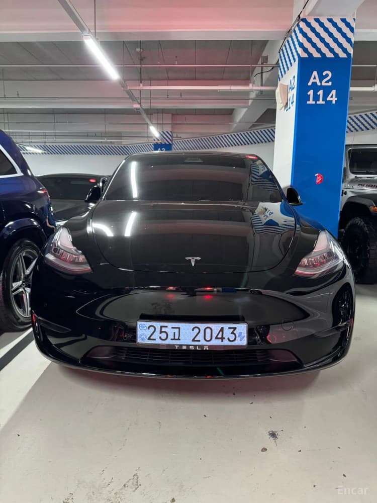 Model Y