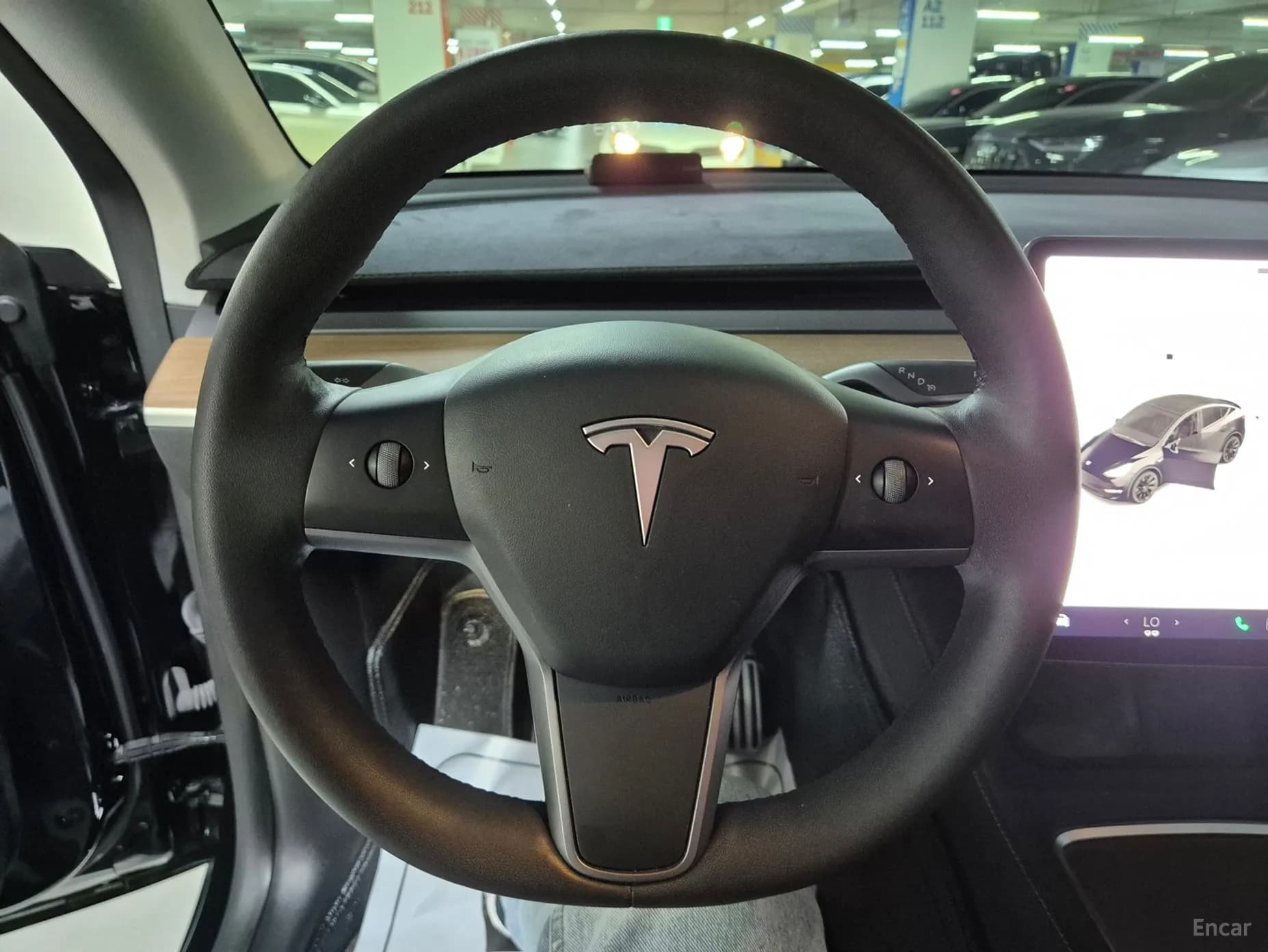 Model Y