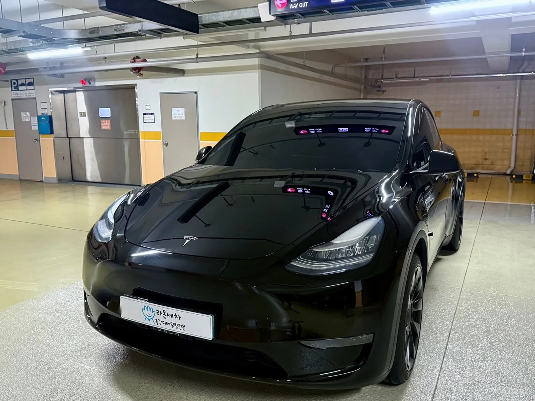 Model Y