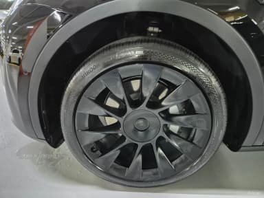 Model Y
