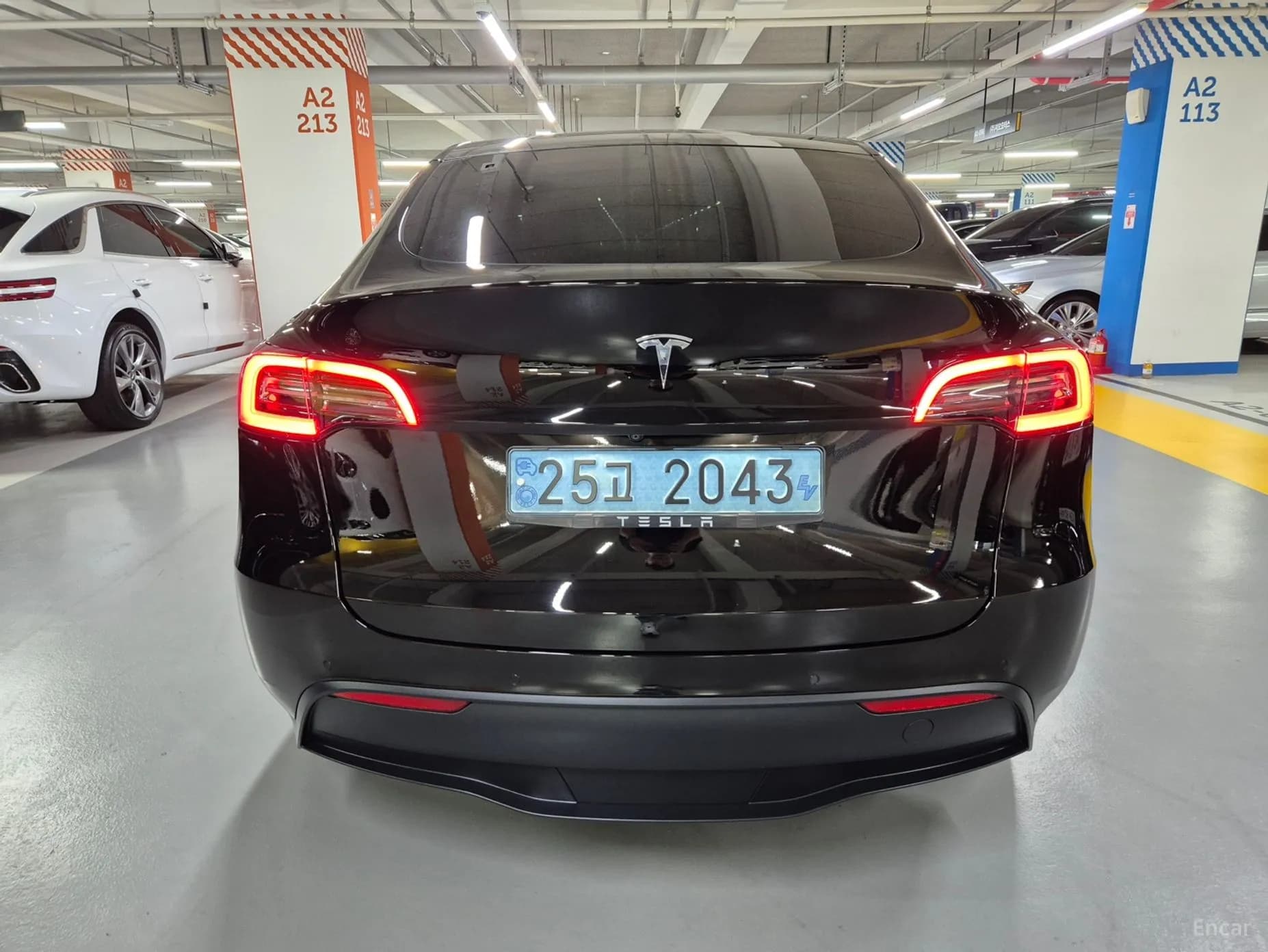 Model Y