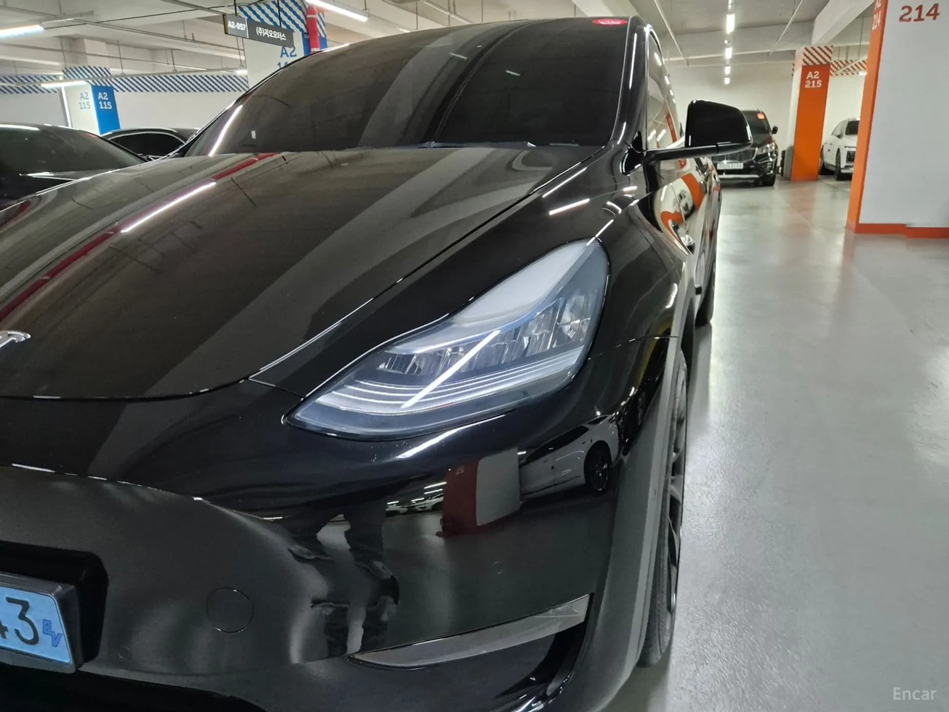 Model Y