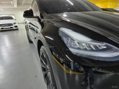 Model Y