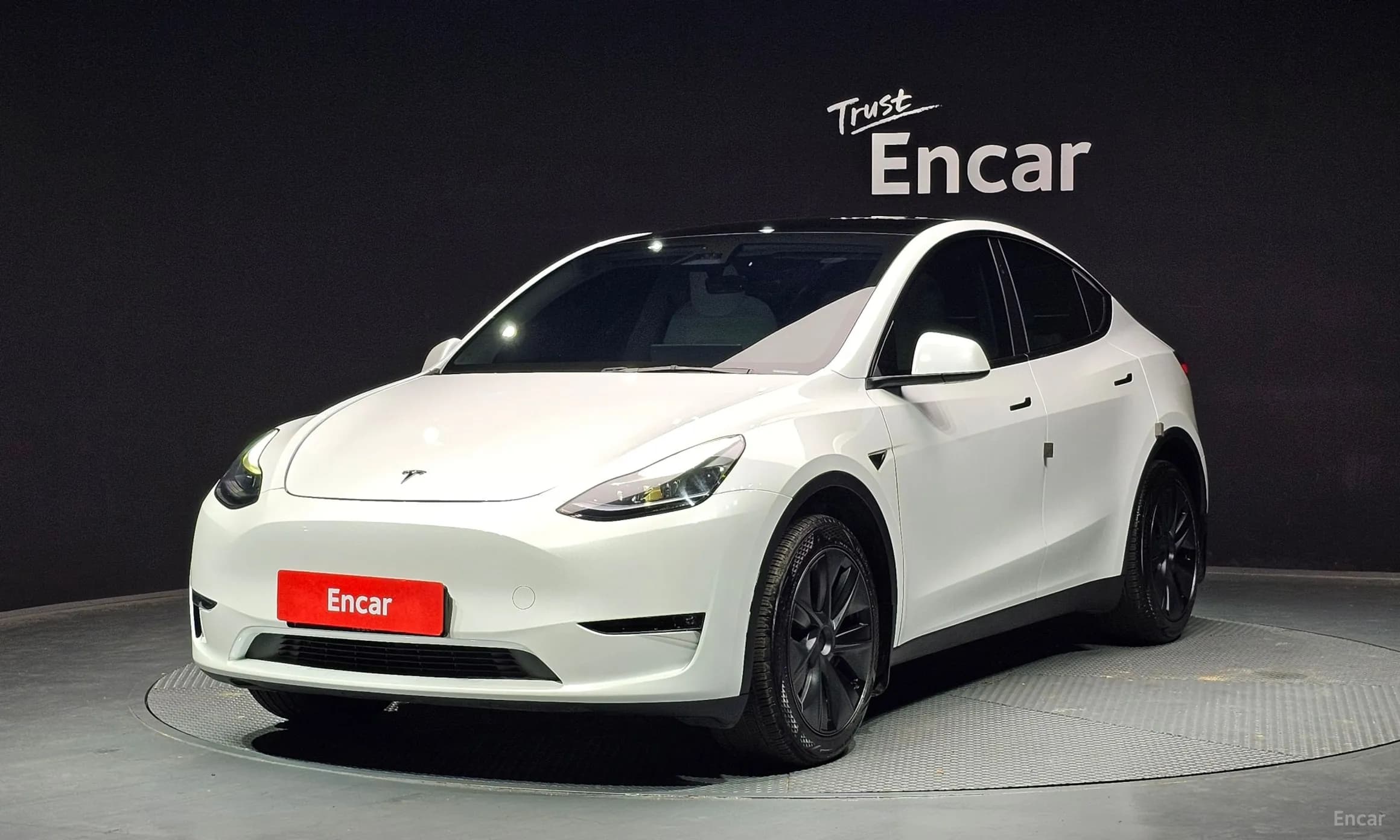 Model Y