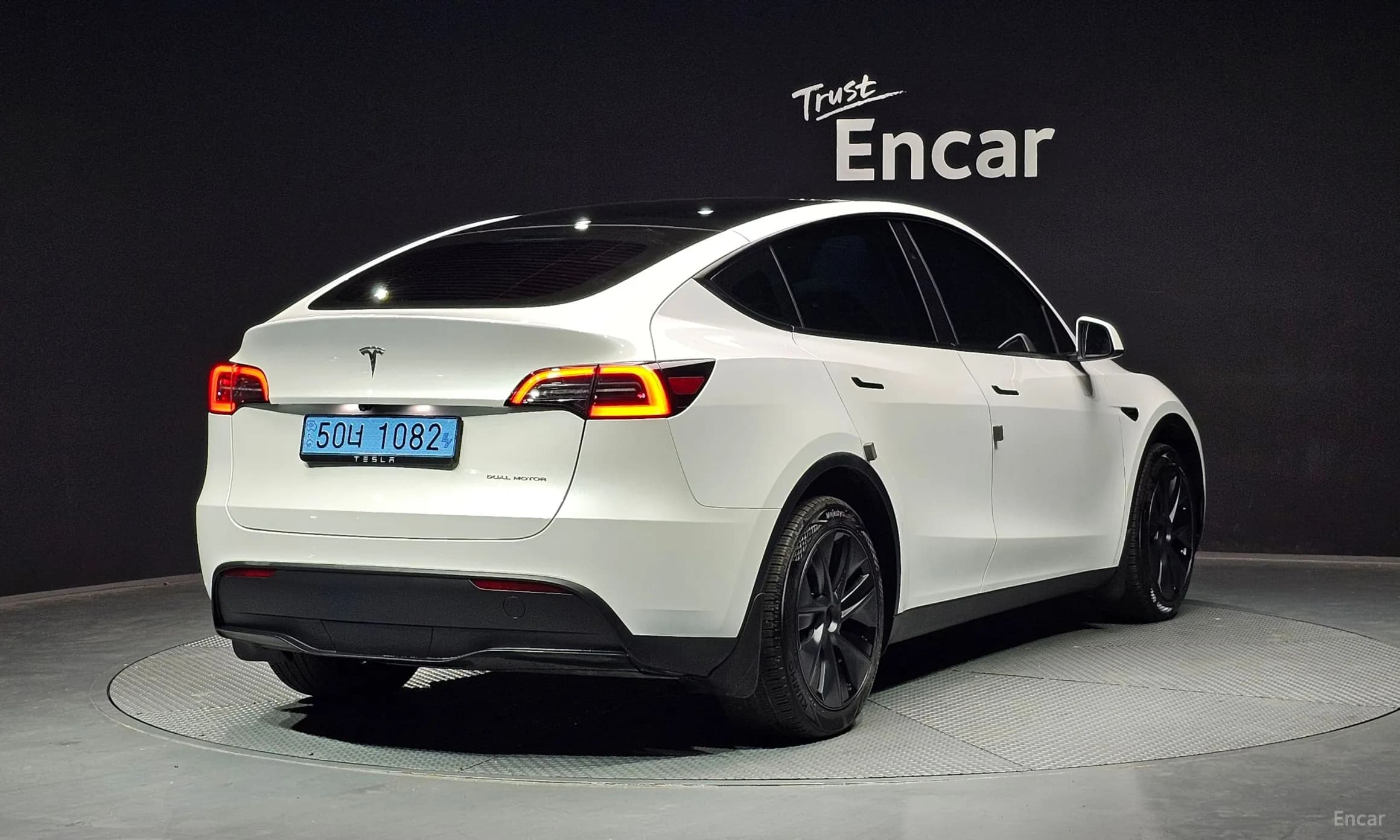Model Y
