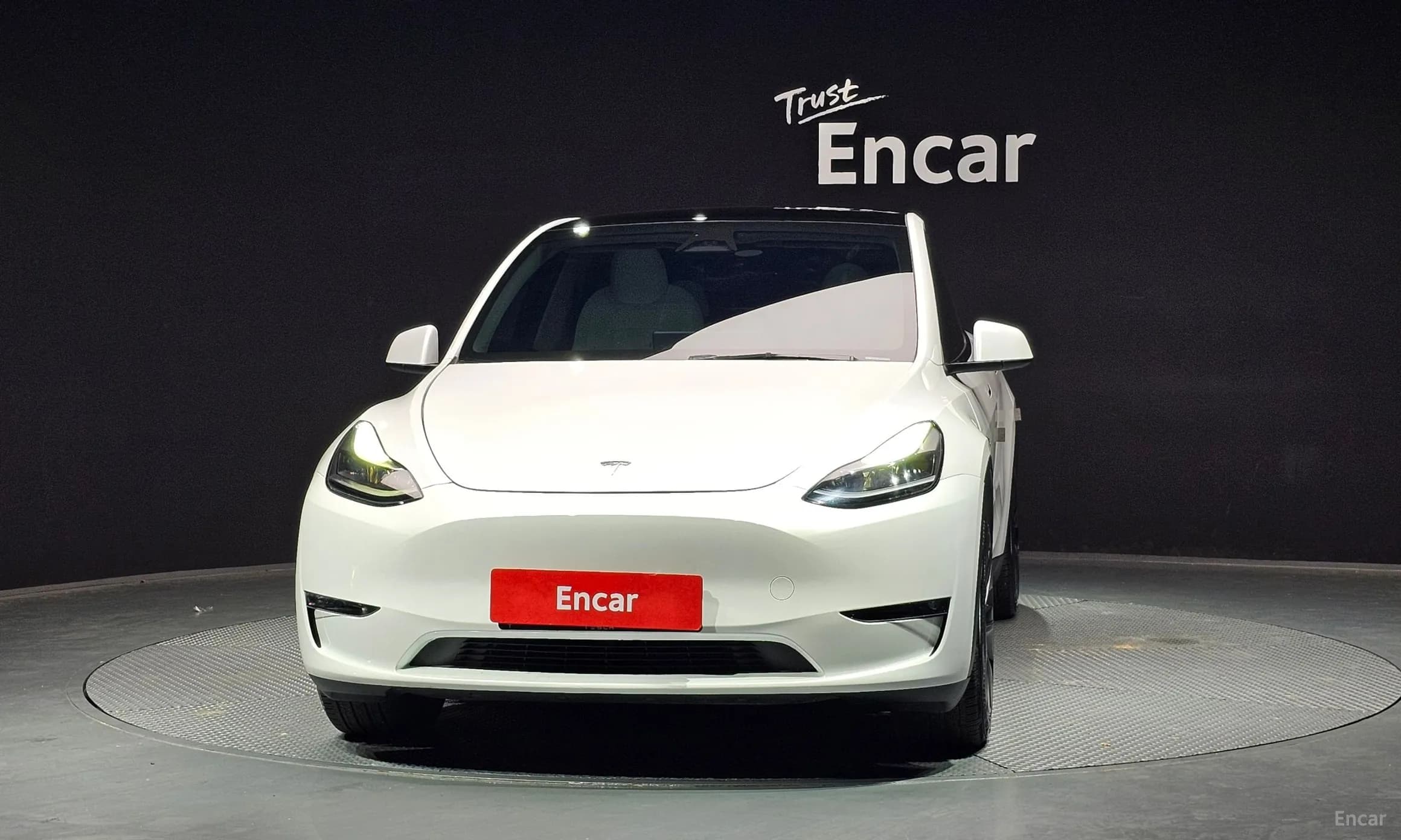 Model Y
