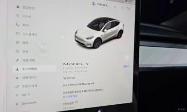 Model Y