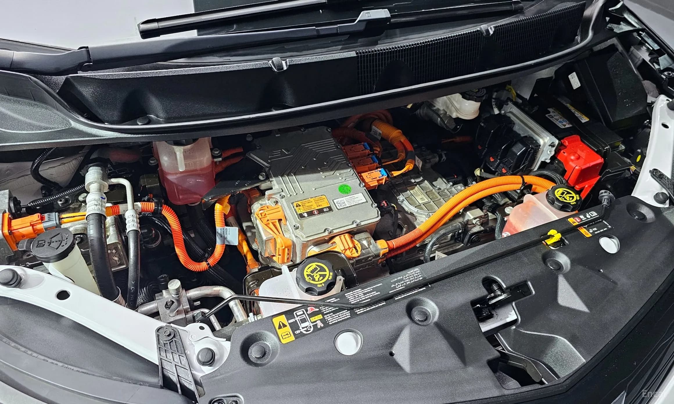 Bolt EV