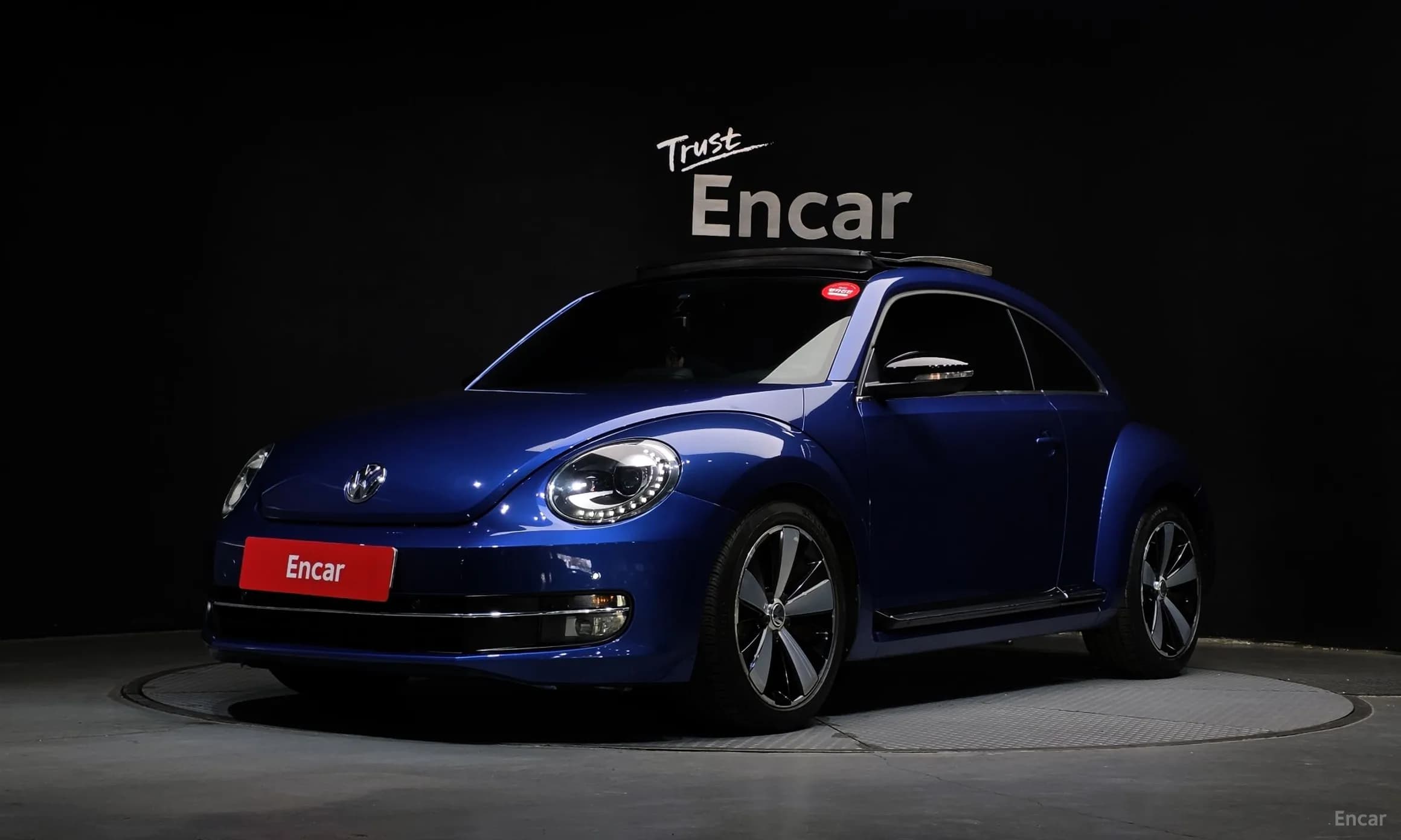 The Beetle