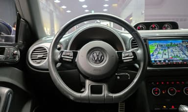 The Beetle