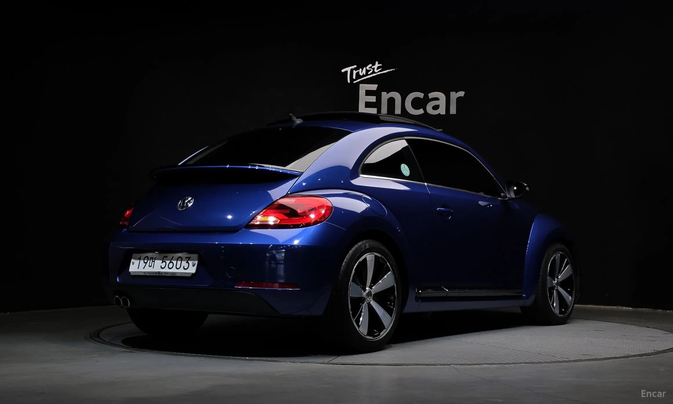 The Beetle