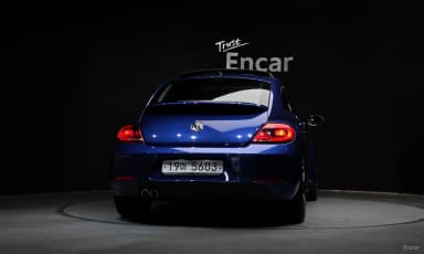 The Beetle