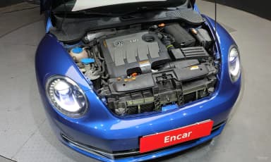 The Beetle