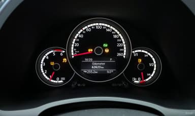 The Beetle