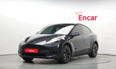 Model Y