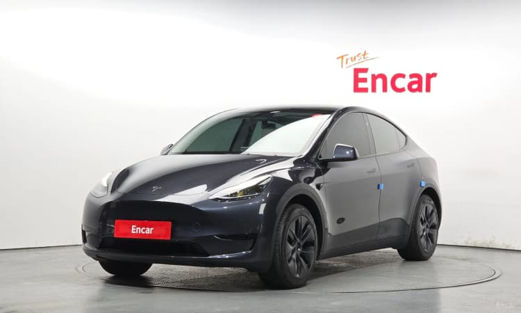 Model Y