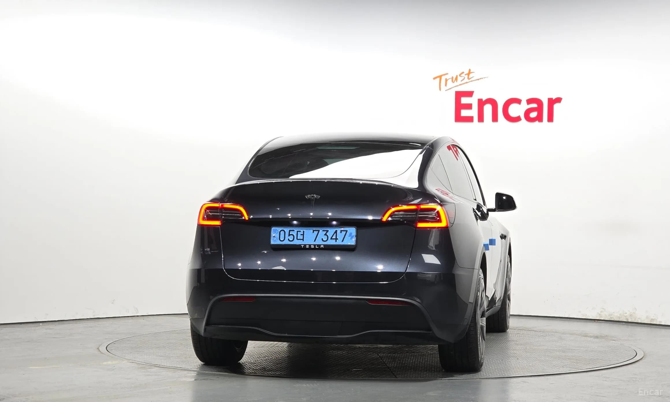 Model Y