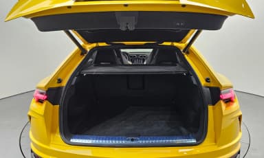 Urus