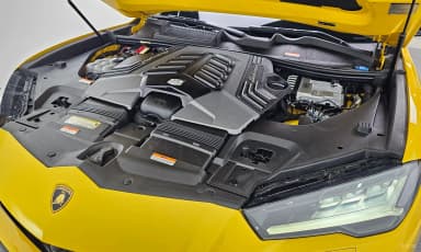 Urus