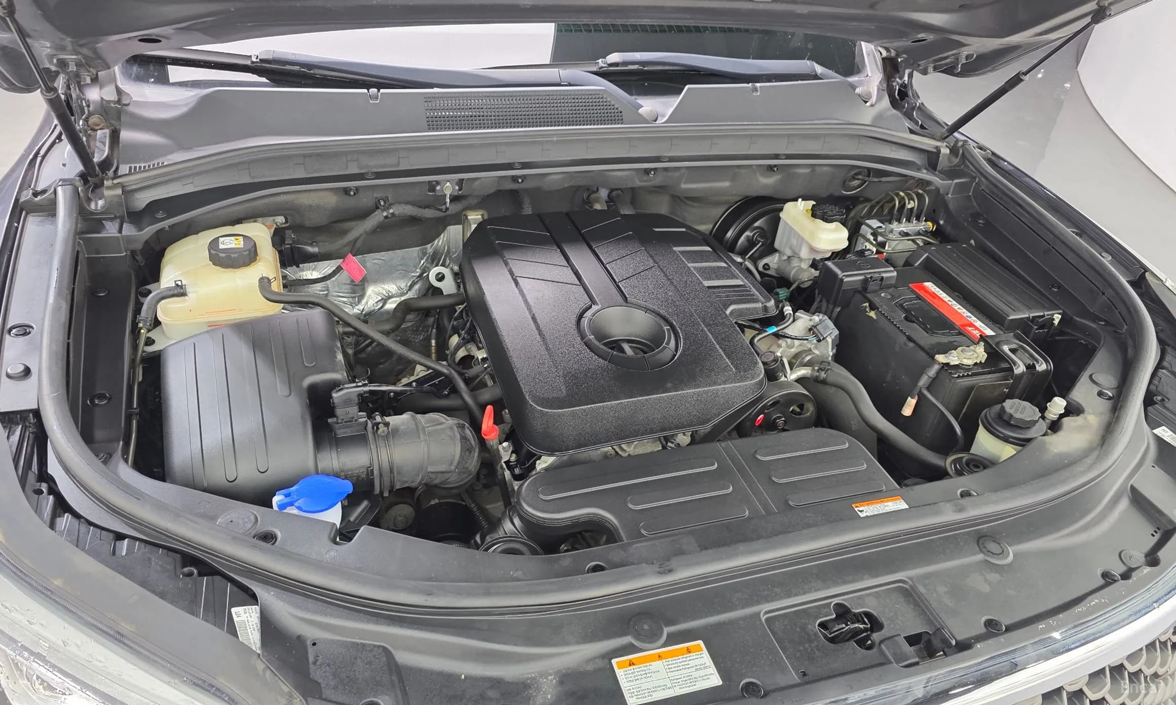 G4 Rexton