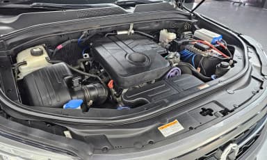 Rexton Sports