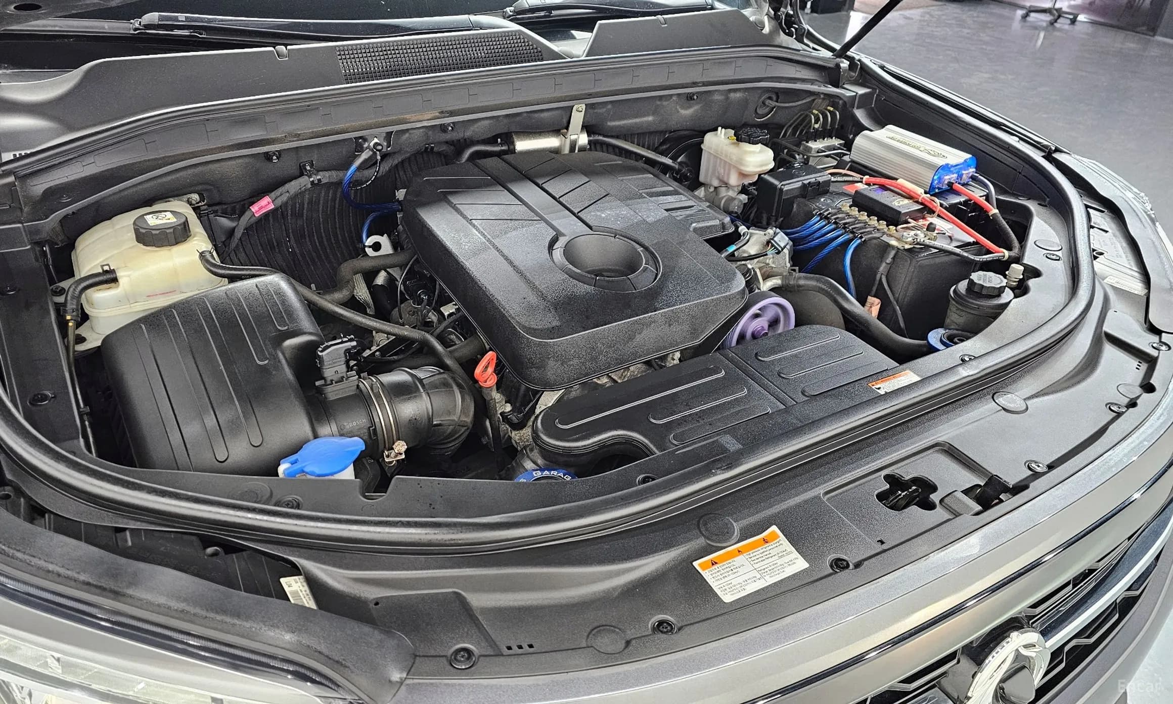 Rexton Sports