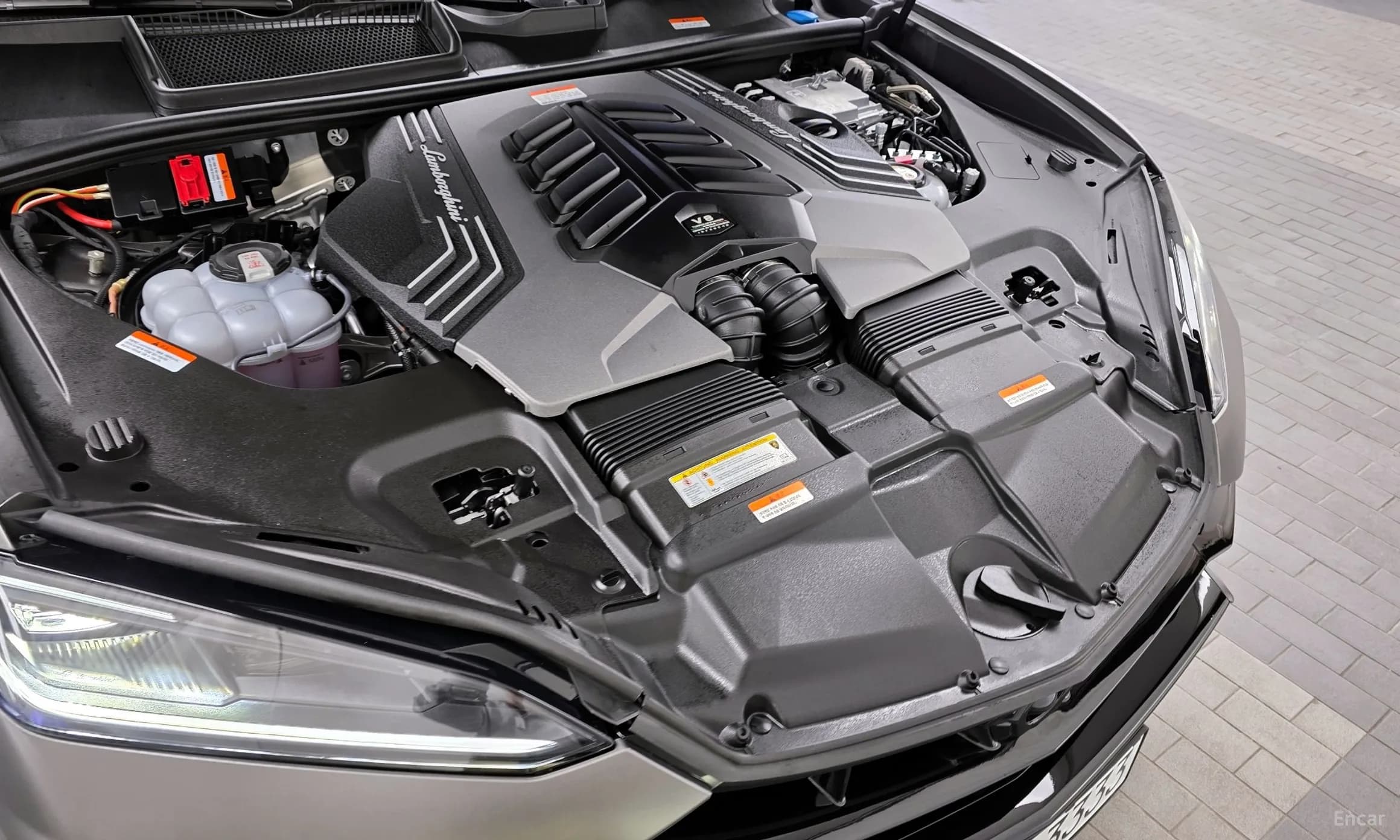 Urus