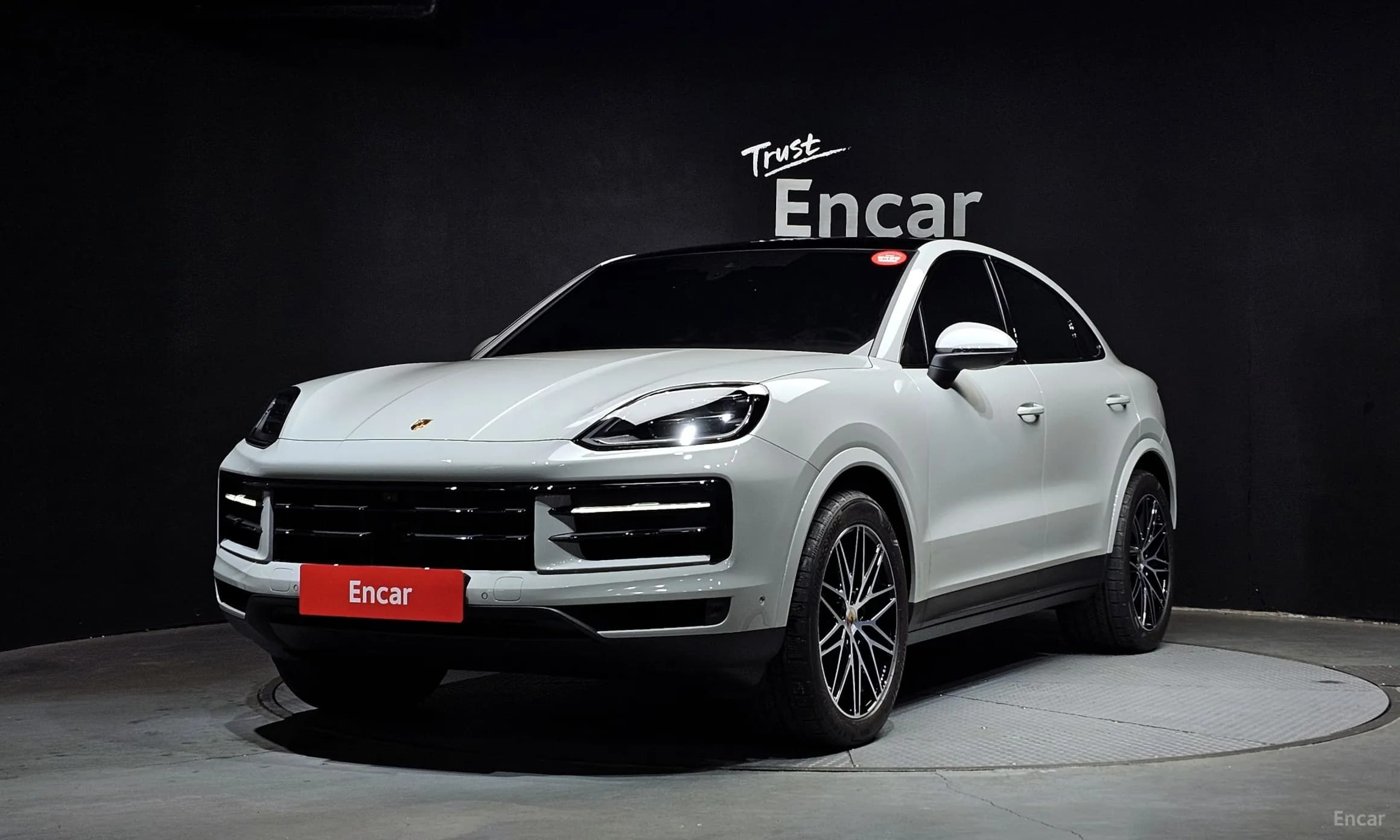 Cayenne (PO536)