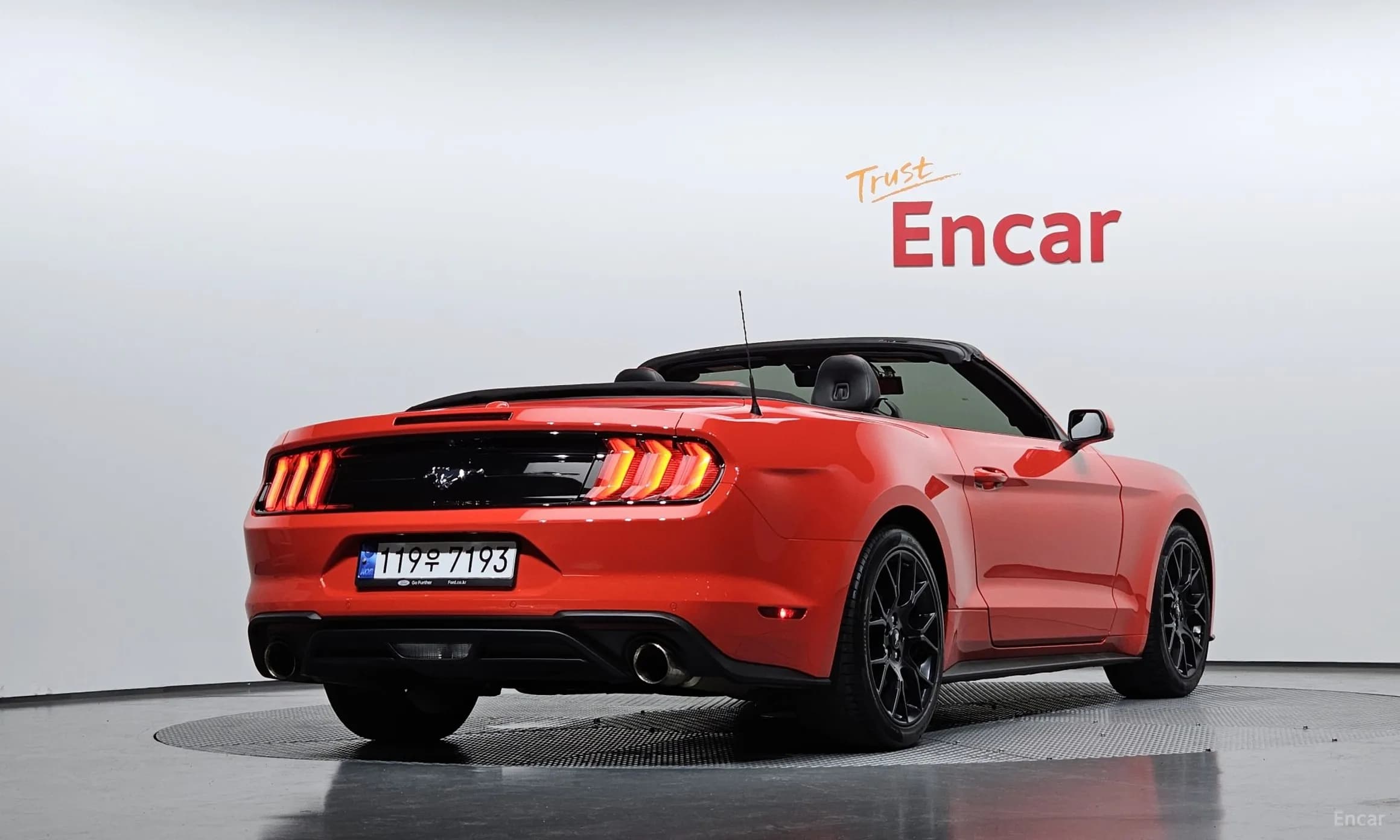 Mustang