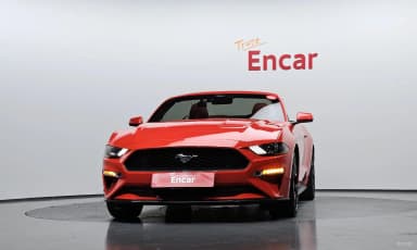 Mustang