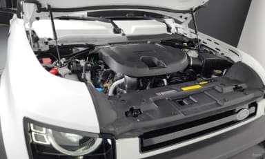 Defender (L663)