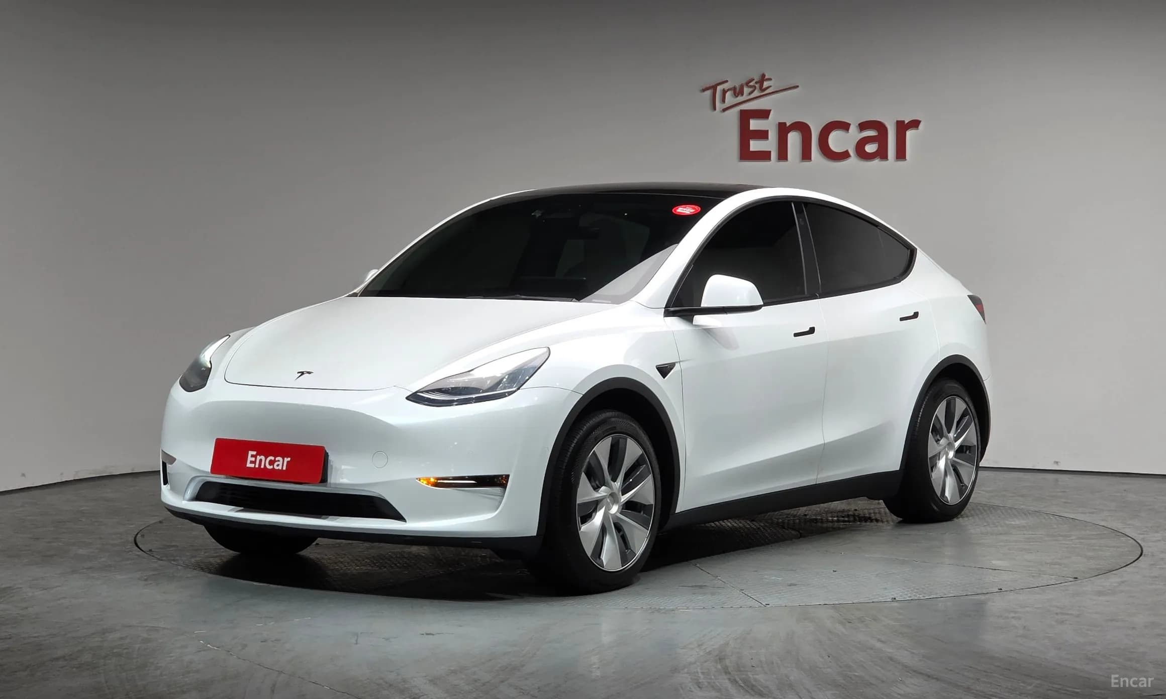 Model Y