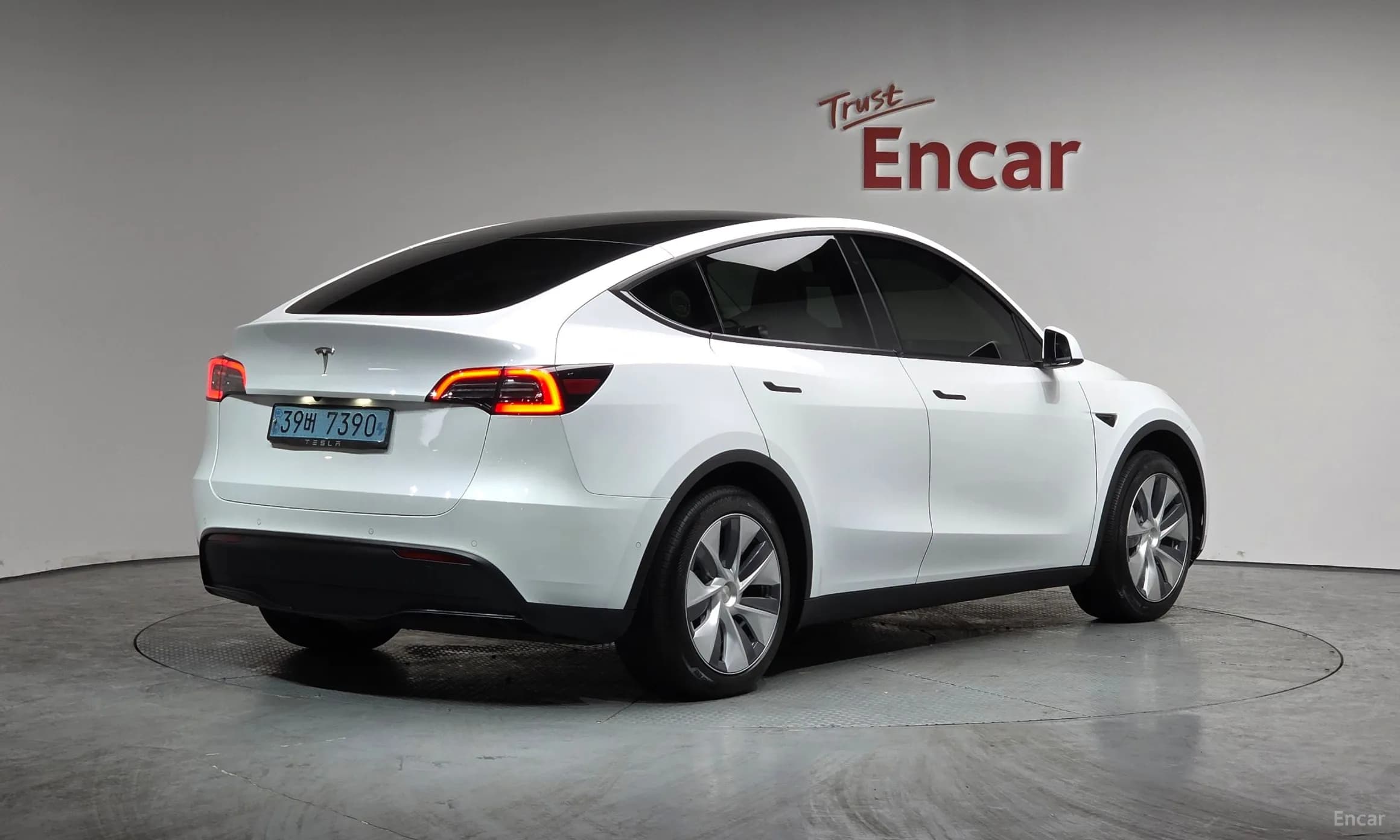 Model Y