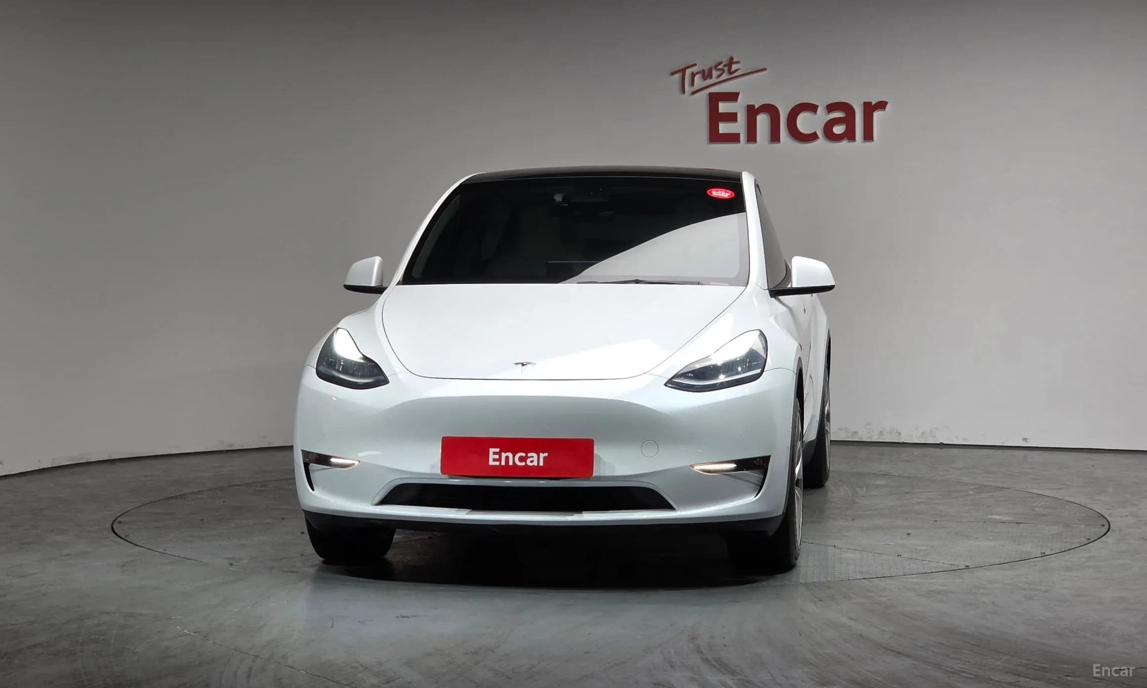 Model Y