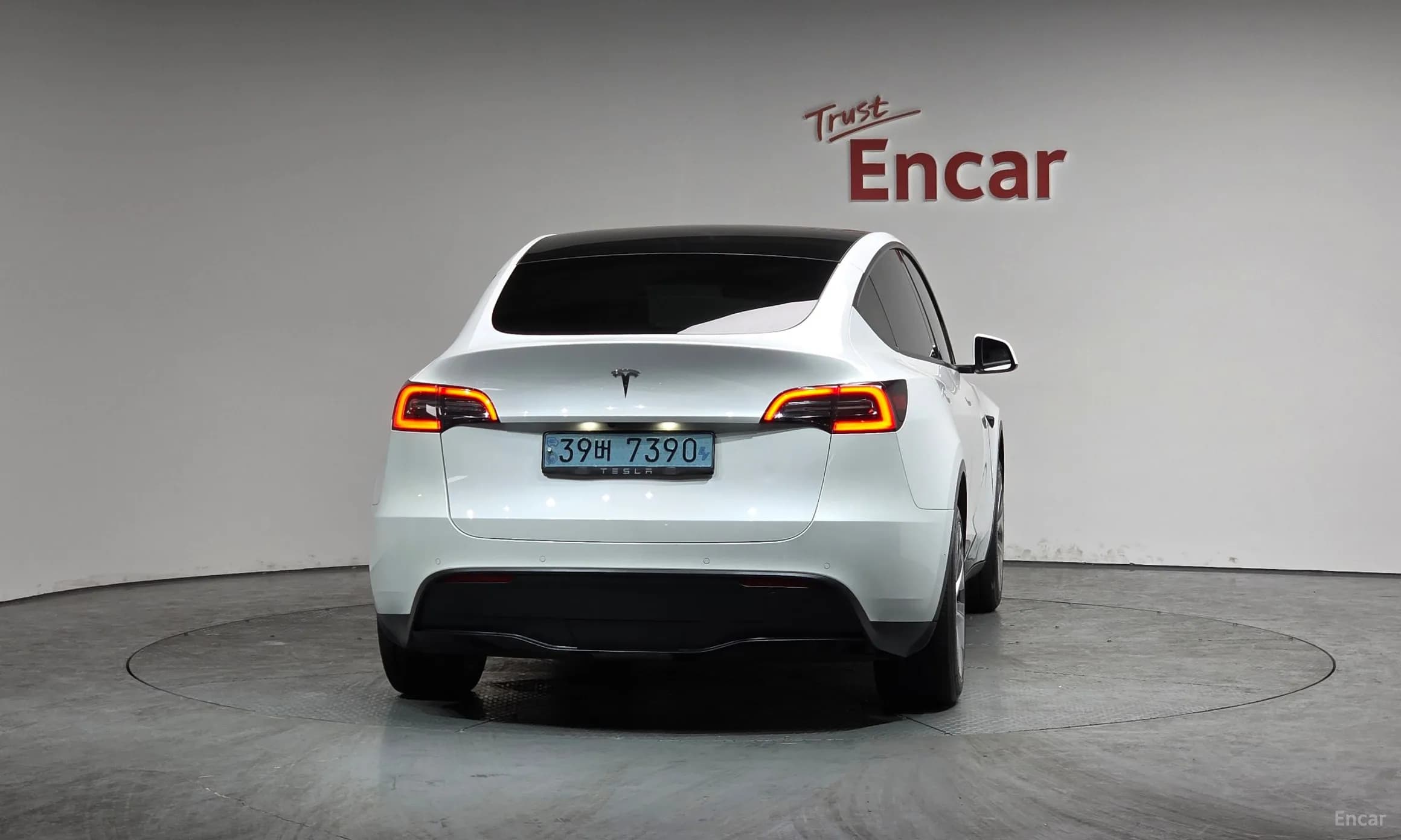 Model Y