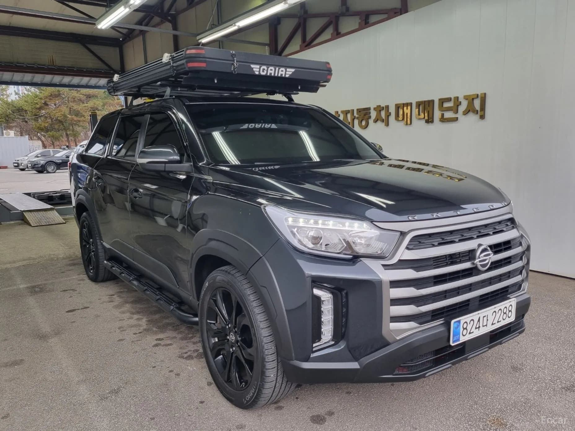 Rexton Sports