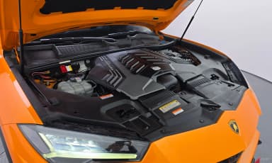 Urus