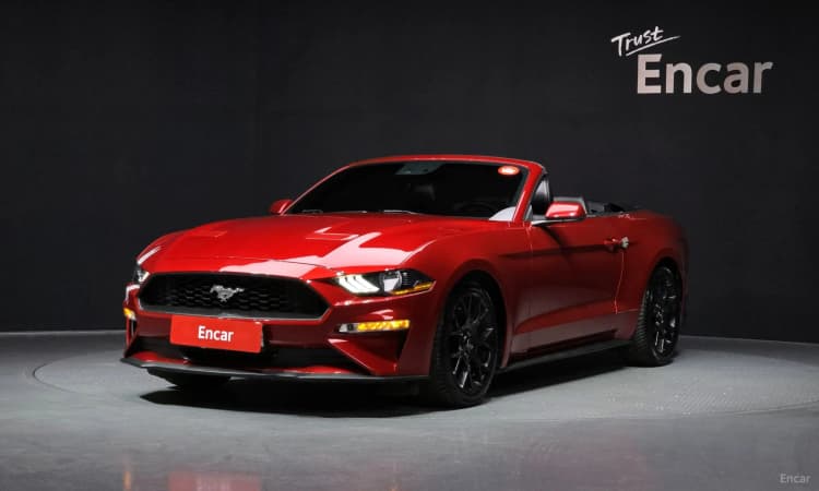Mustang
