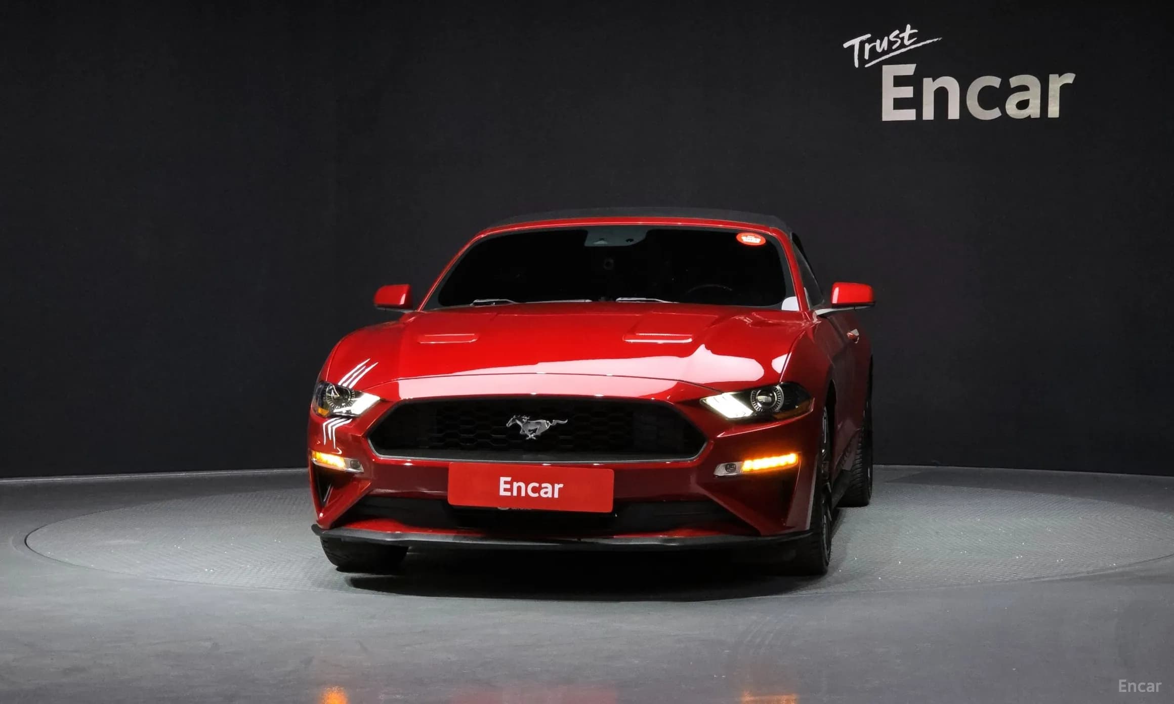 Mustang