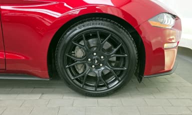 Mustang