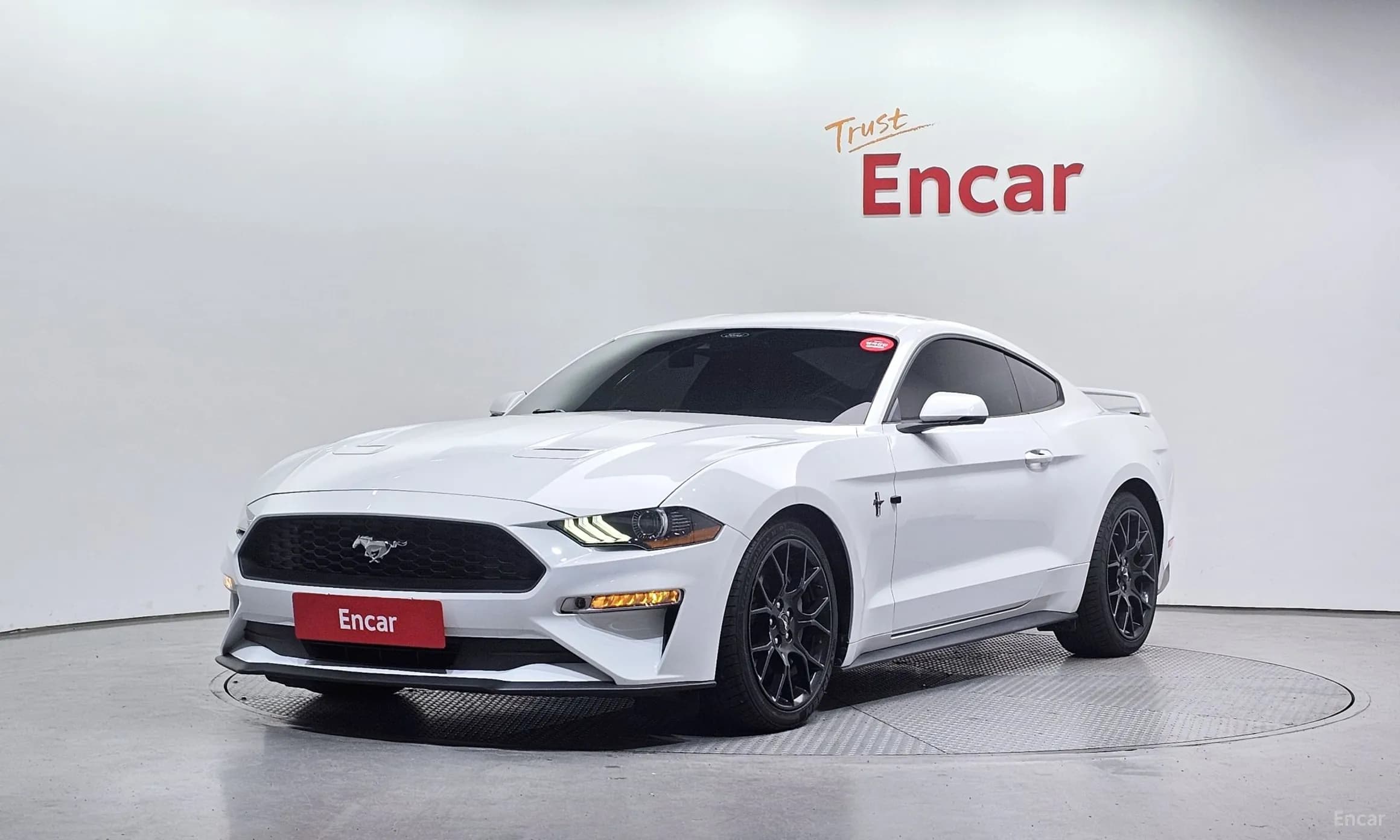 Mustang