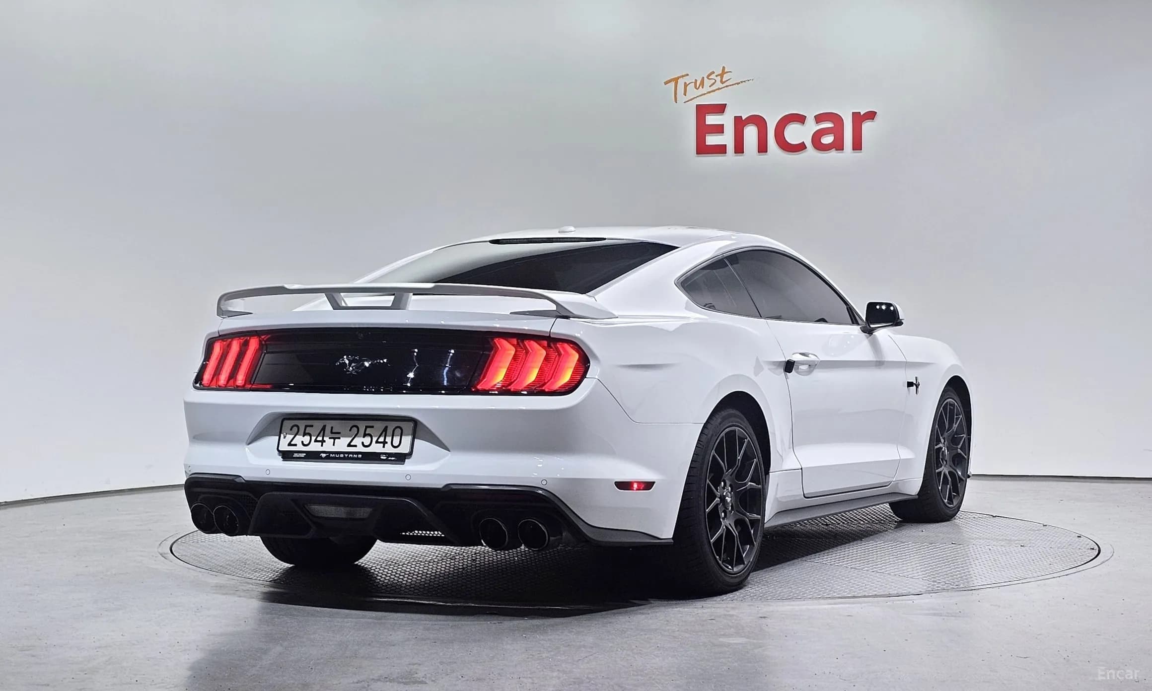 Mustang