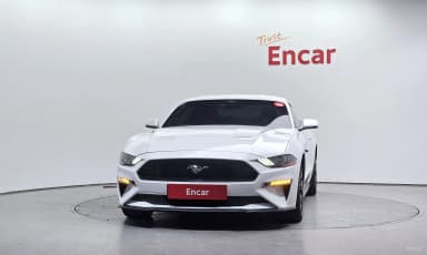Mustang