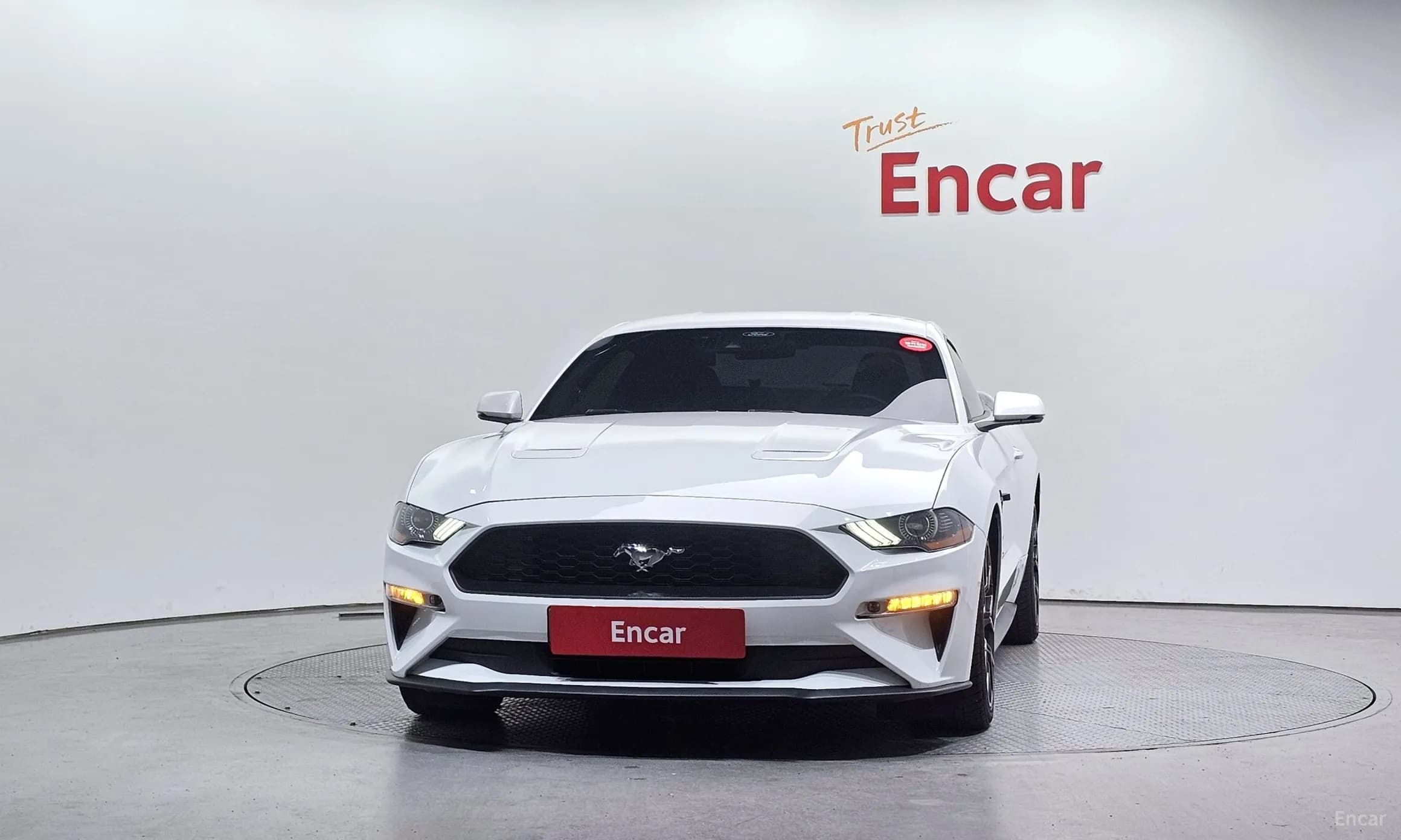 Mustang