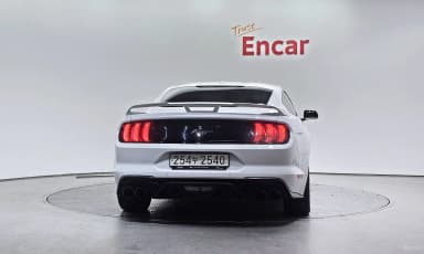 Mustang