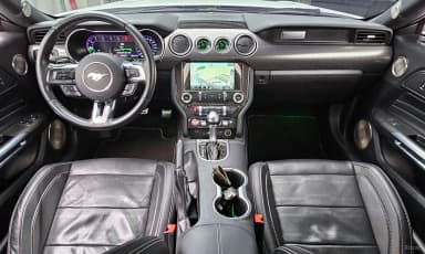 Mustang