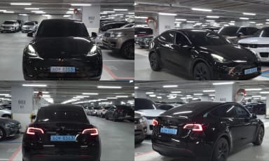 Model Y