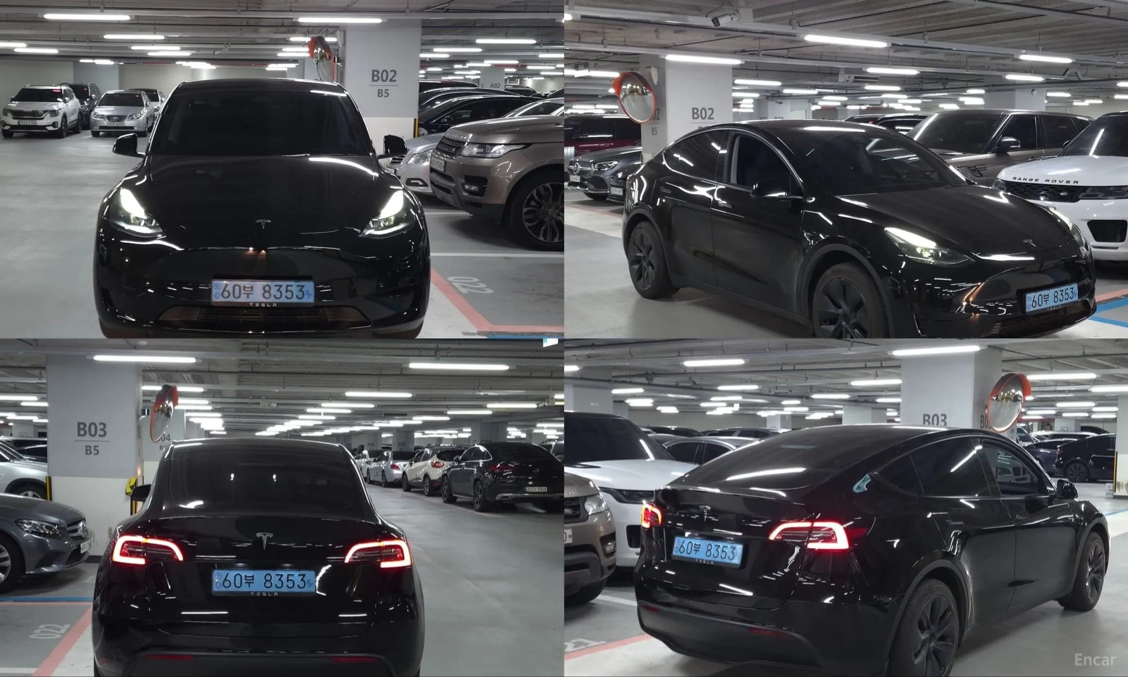 Model Y