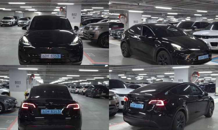 Model Y
