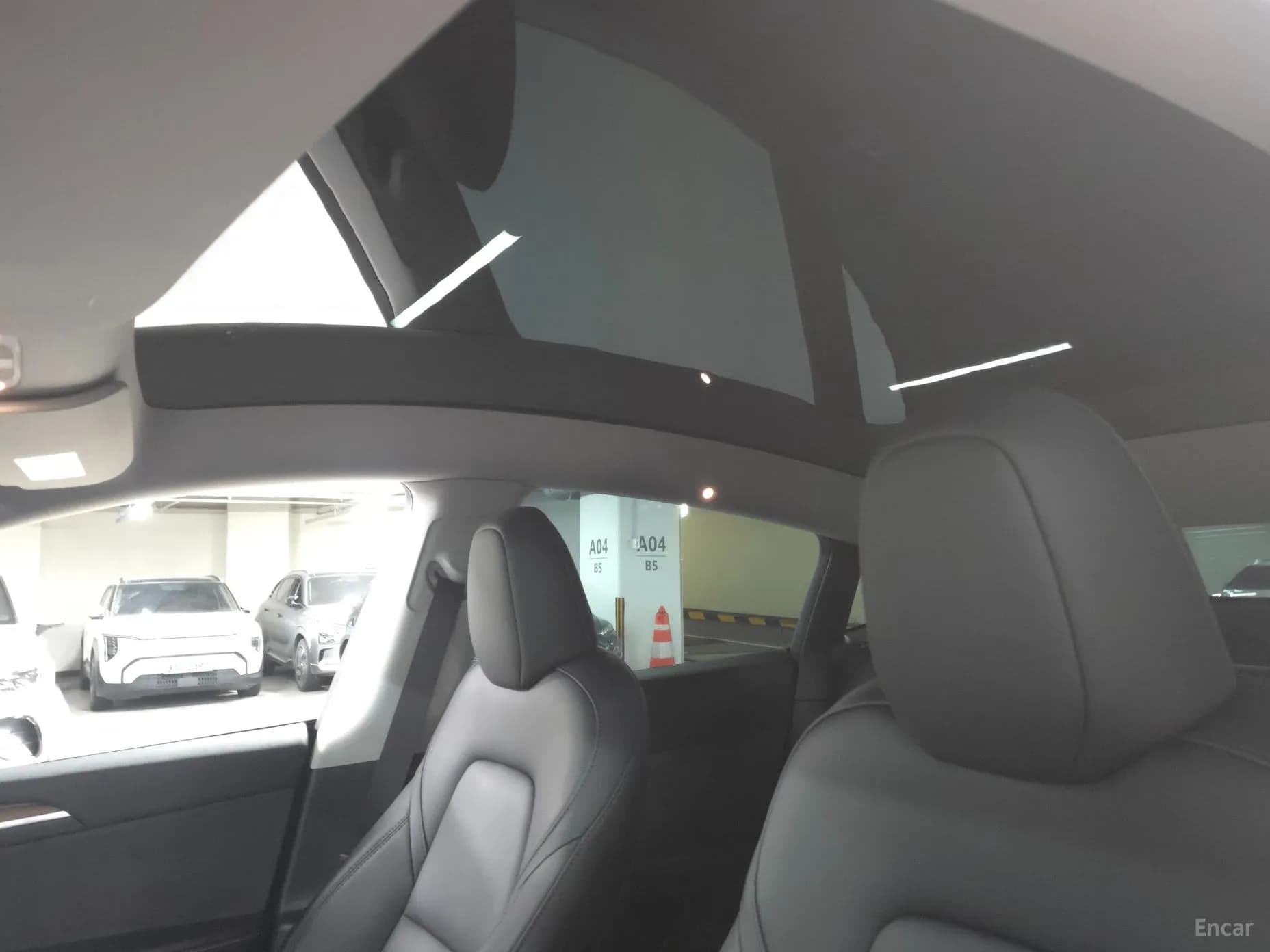 Model Y